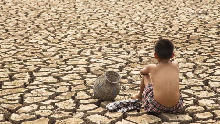 The report comes ahead of the 15th COP on biodiversity and the 26th COP on climate